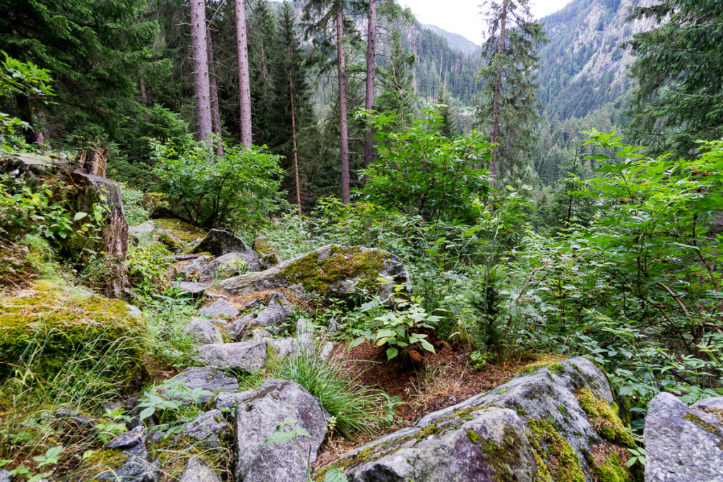 Steiniger Wanderweg