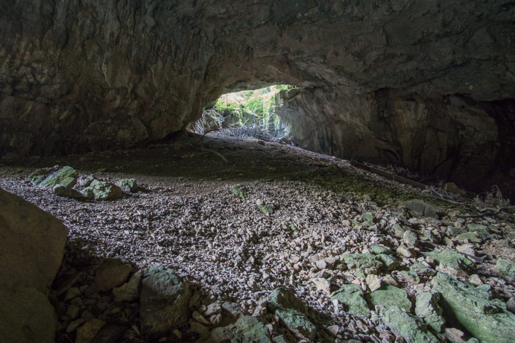 Lichtdurchflutete Karsthöhle mit natürlichem Eingang