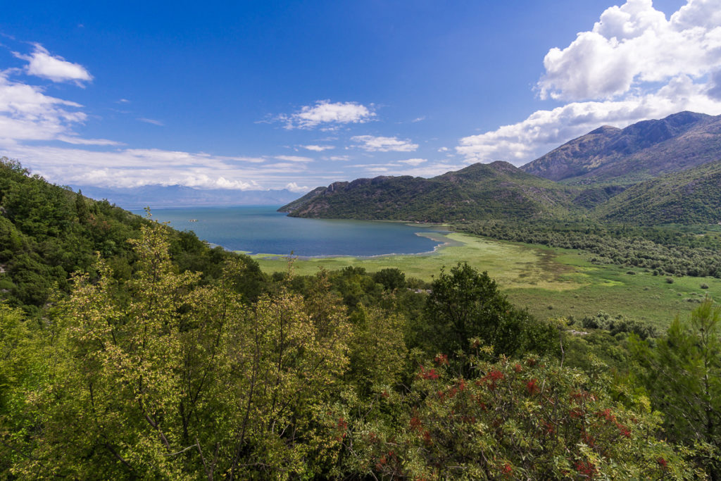 Aussicht Skutarisee